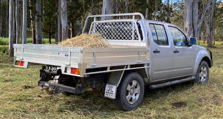 Lindsay Pyne - Wollombi NSW